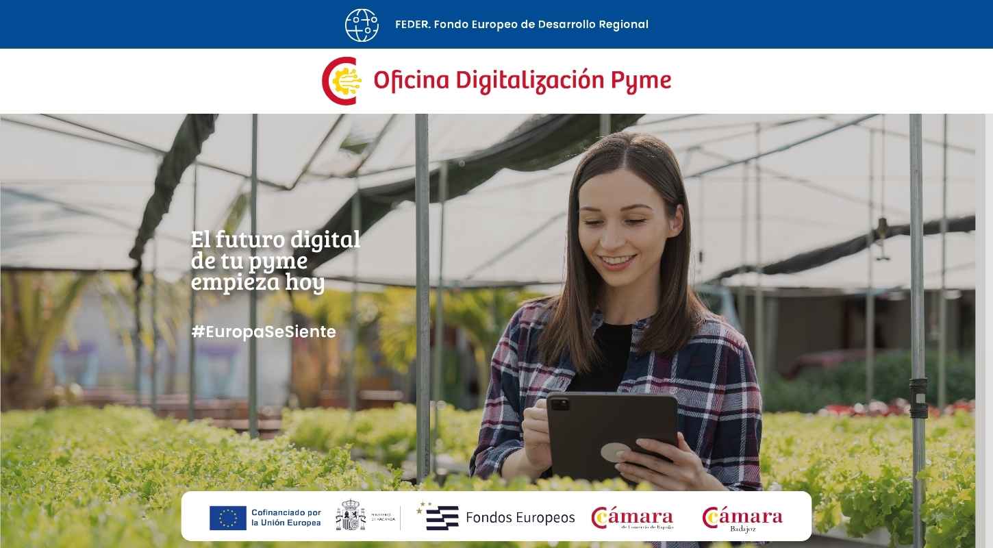 oficina digitalización pyme